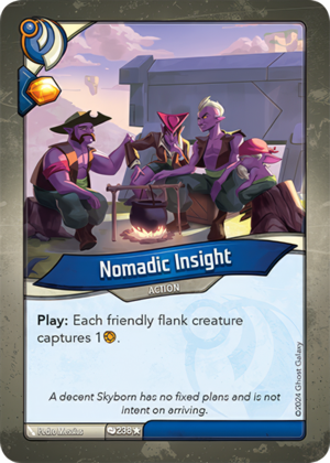 Nomadic Insight